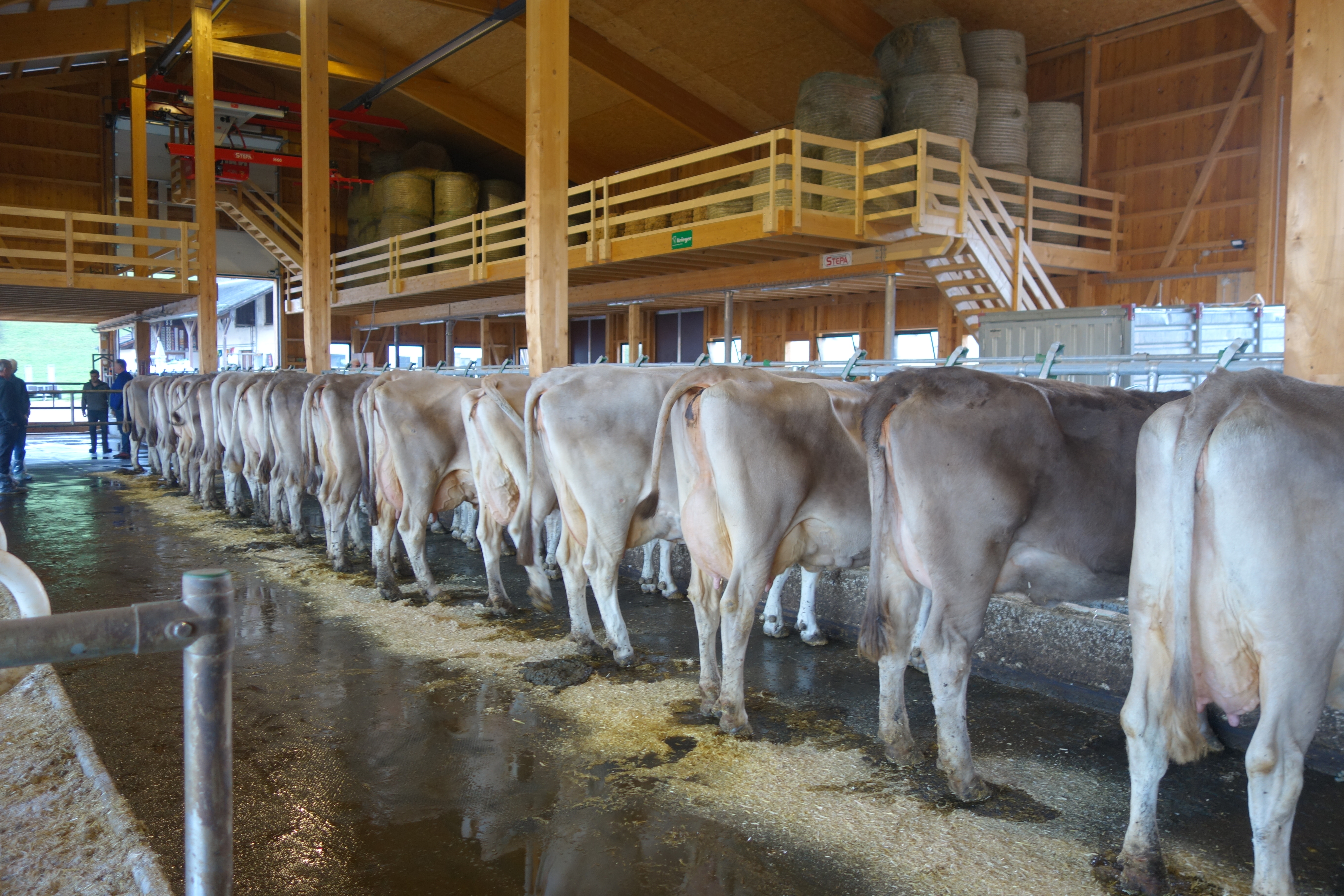 Reise Braunviehfreunde Entlebuch 2020